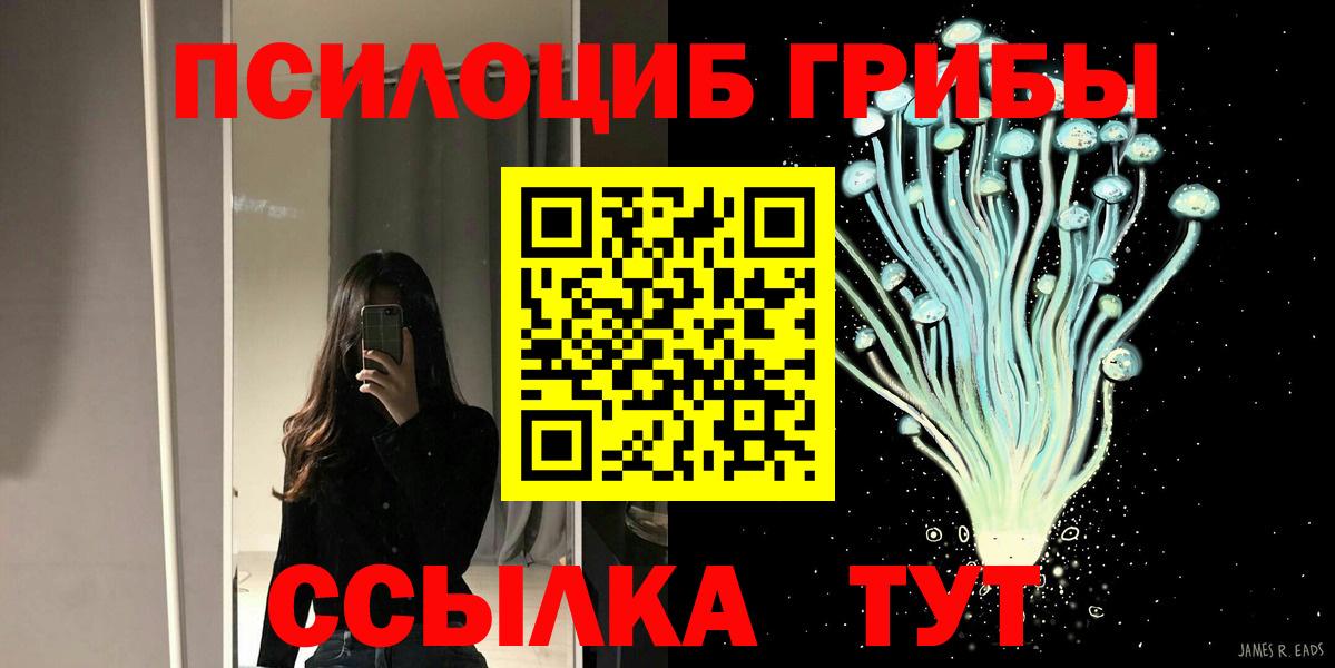 Псилоцибиновые грибы GOLDEN TEACHER Сафоново