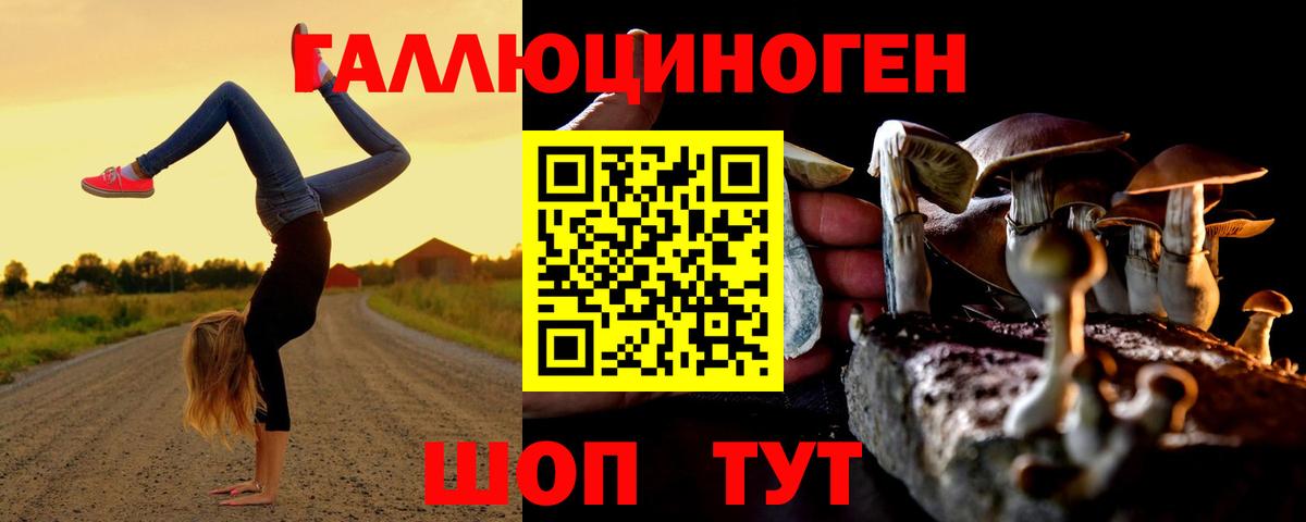 Галлюциногенные грибы GOLDEN TEACHER  Вход с VPN  Сафоново 